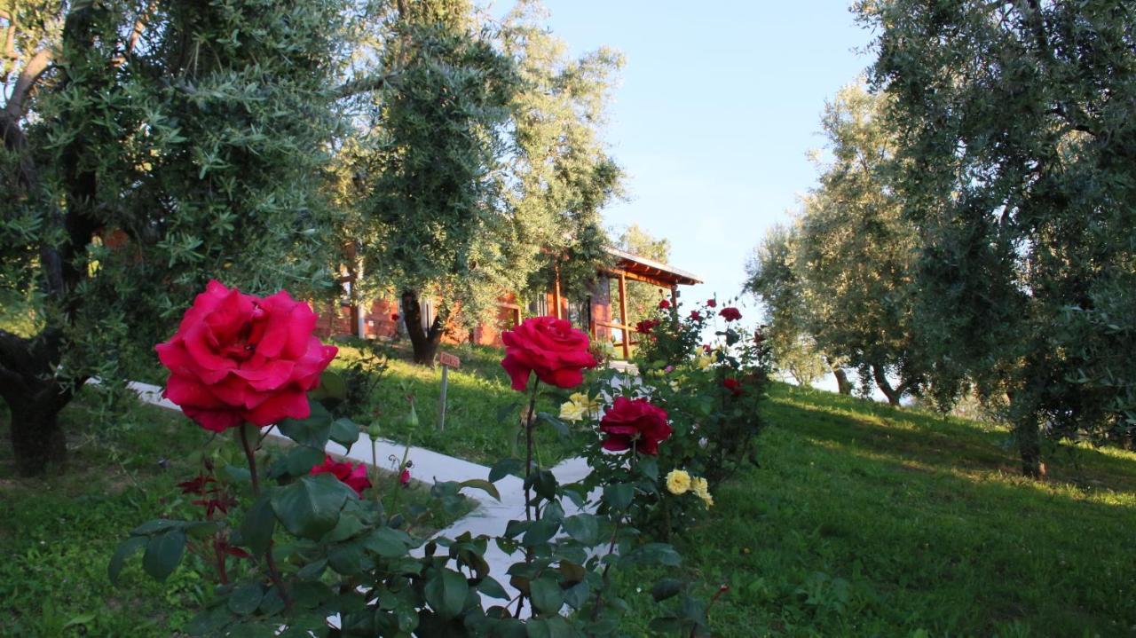 Agroturizem Bylis Otel Hekal Dış mekan fotoğraf