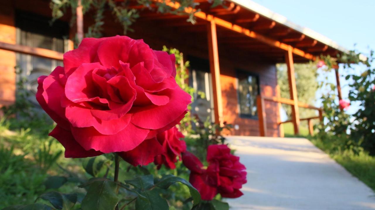 Agroturizem Bylis Otel Hekal Dış mekan fotoğraf