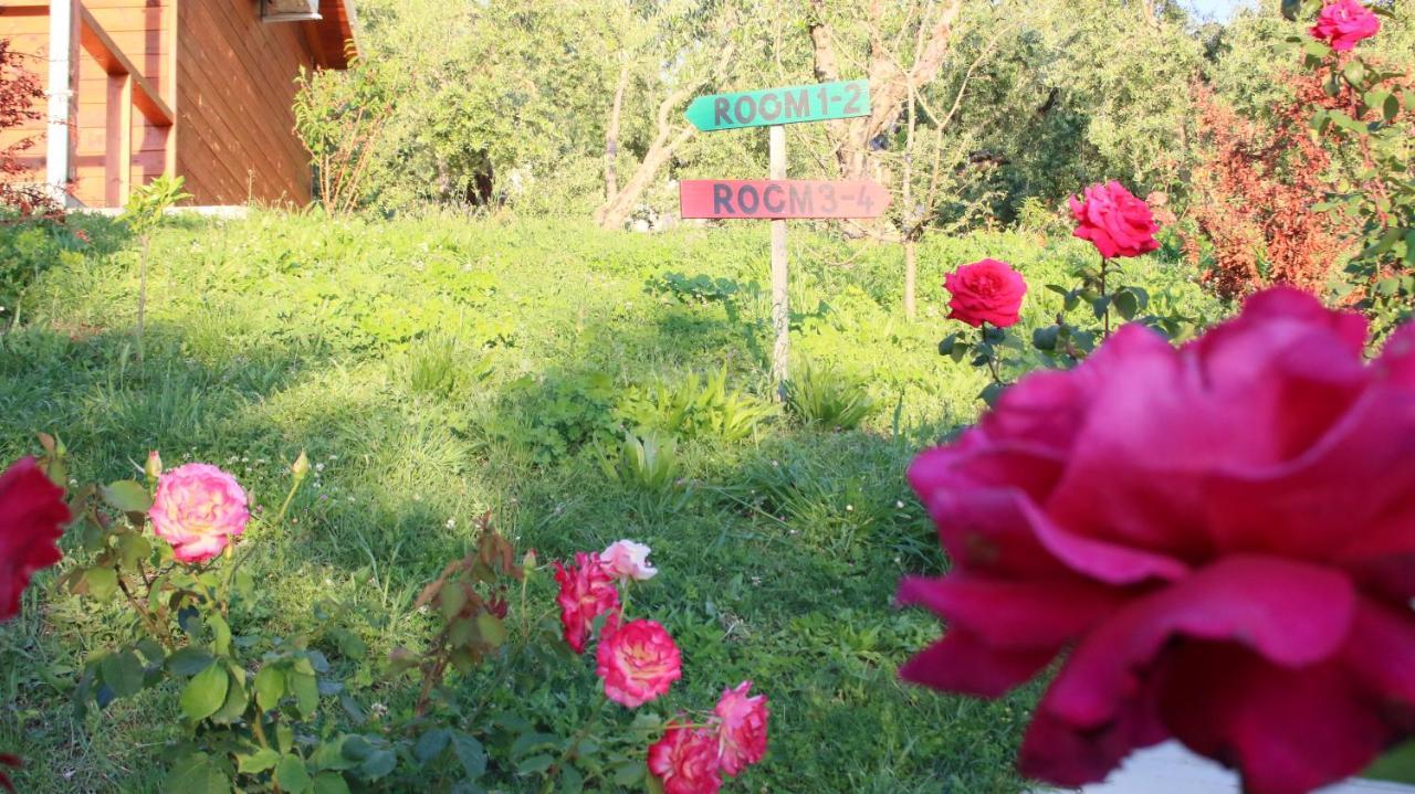 Agroturizem Bylis Otel Hekal Dış mekan fotoğraf