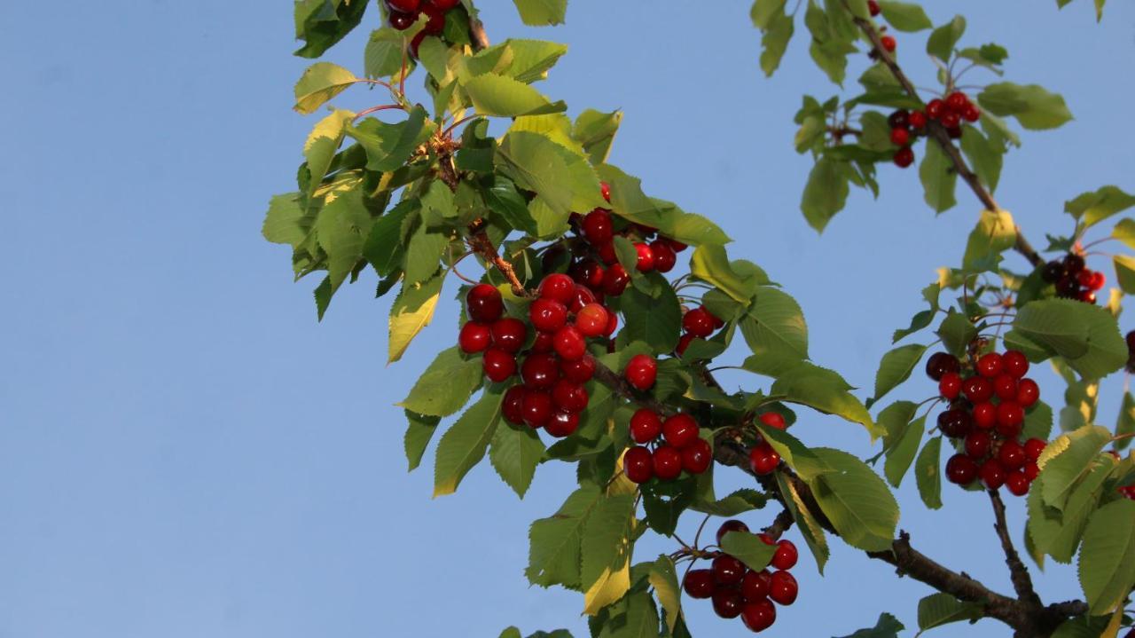 Agroturizem Bylis Otel Hekal Dış mekan fotoğraf